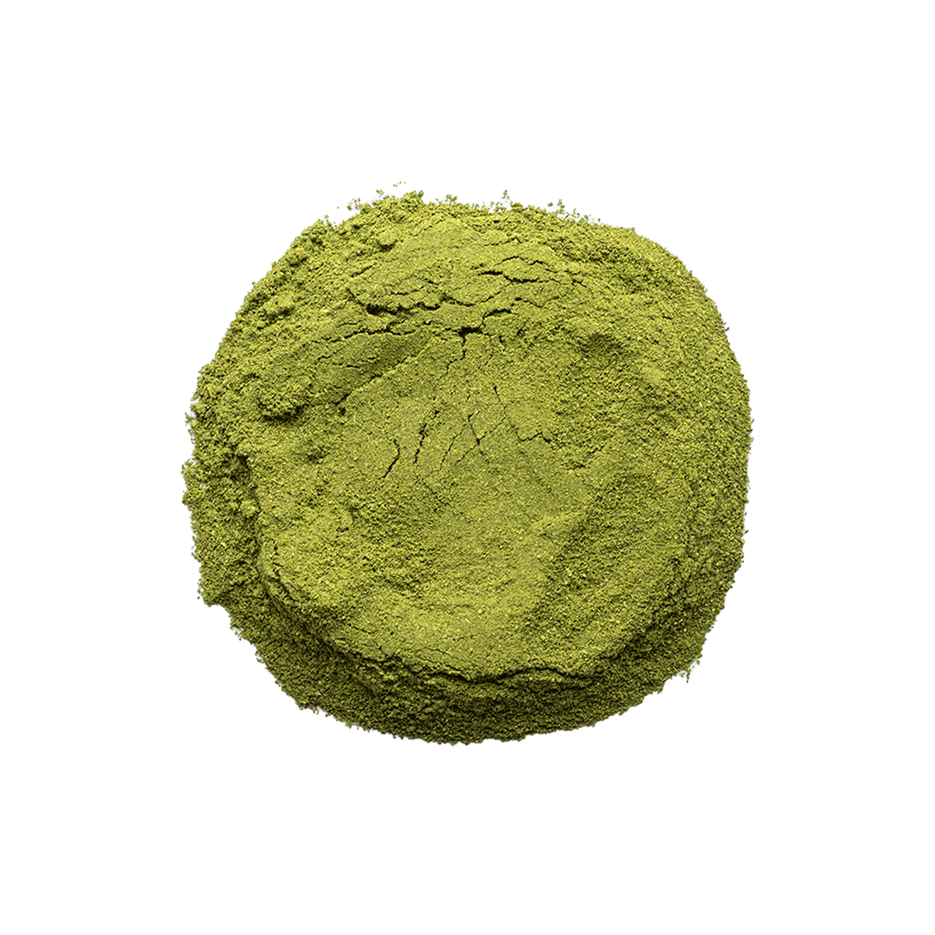 moringa powder