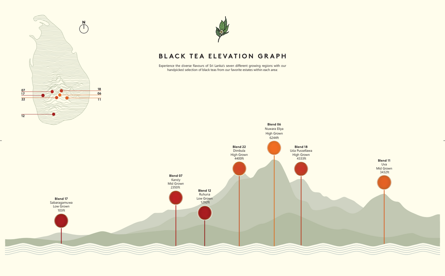 black tea elevations